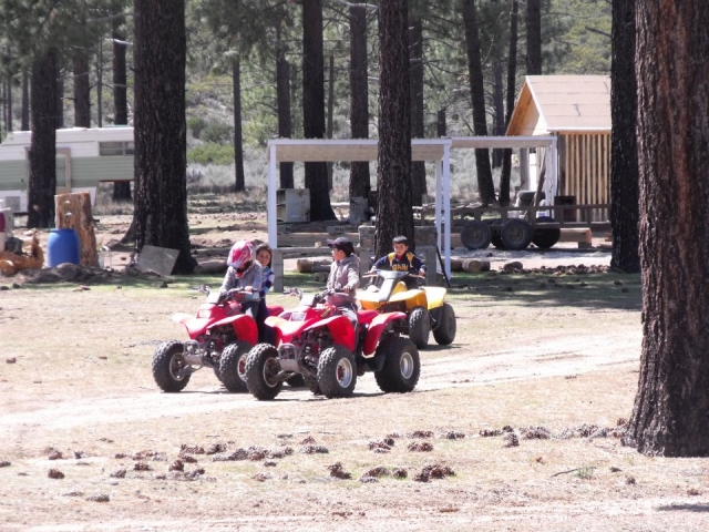  全地形车上的每个人 